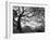 Central Park #1, New York, New York 05-Monte Nagler-Framed Premium Photographic Print