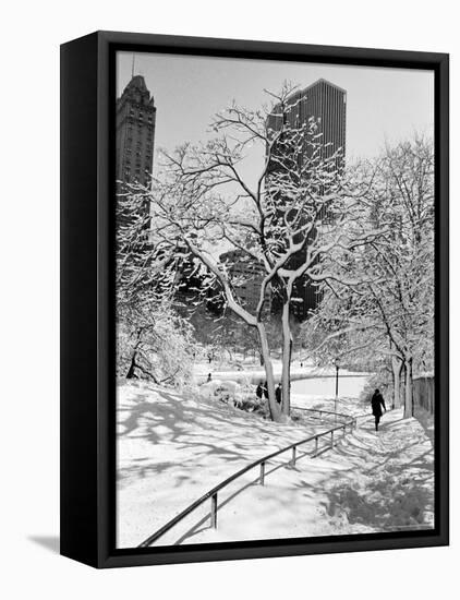 Central Park After a Snowstorm-Alfred Eisenstaedt-Framed Stretched Canvas