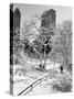 Central Park After a Snowstorm-Alfred Eisenstaedt-Stretched Canvas