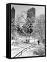 Central Park After a Snowstorm-Alfred Eisenstaedt-Framed Stretched Canvas