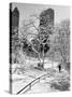Central Park After a Snowstorm-Alfred Eisenstaedt-Stretched Canvas