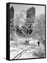 Central Park After a Snowstorm-Alfred Eisenstaedt-Framed Stretched Canvas