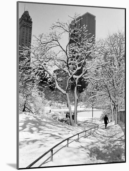 Central Park After a Snowstorm-Alfred Eisenstaedt-Mounted Photographic Print