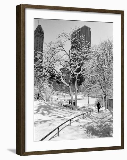 Central Park After a Snowstorm-Alfred Eisenstaedt-Framed Photographic Print