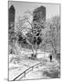 Central Park After a Snowstorm-Alfred Eisenstaedt-Mounted Photographic Print