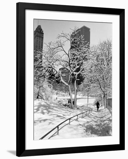 Central Park After a Snowstorm-Alfred Eisenstaedt-Framed Photographic Print