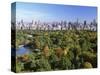 Central Park and Manhattan Buildings-Rudy Sulgan-Stretched Canvas