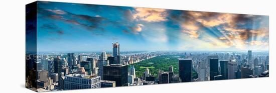 Central Park at Dawn-null-Stretched Canvas