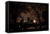 Central Park at Night I-Erin Berzel-Framed Stretched Canvas