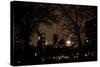 Central Park at Night I-Erin Berzel-Stretched Canvas
