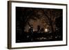Central Park at Night I-Erin Berzel-Framed Photographic Print
