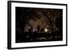 Central Park at Night I-Erin Berzel-Framed Photographic Print