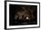 Central Park at Night I-Erin Berzel-Framed Photographic Print