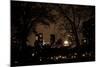 Central Park at Night I-Erin Berzel-Mounted Photographic Print