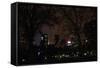 Central Park at Night II-Erin Berzel-Framed Stretched Canvas