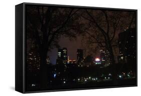 Central Park at Night II-Erin Berzel-Framed Stretched Canvas