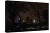 Central Park at Night II-Erin Berzel-Stretched Canvas