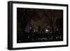 Central Park at Night II-Erin Berzel-Framed Photographic Print