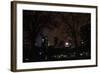 Central Park at Night II-Erin Berzel-Framed Photographic Print