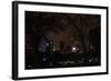 Central Park at Night II-Erin Berzel-Framed Photographic Print