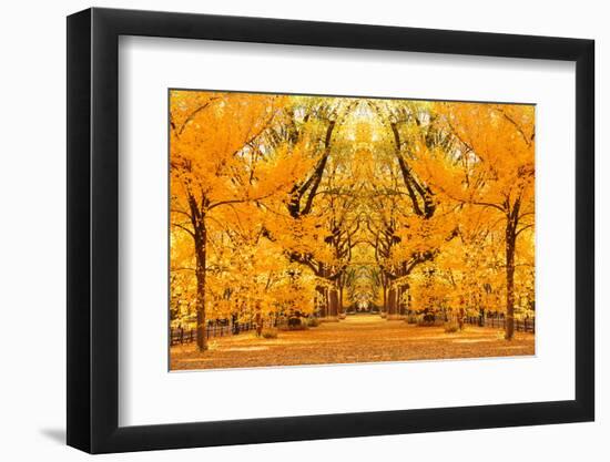 Central Park Autumn in Midtown Manhattan New York City-Songquan Deng-Framed Photographic Print