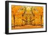 Central Park Autumn in Midtown Manhattan New York City-Songquan Deng-Framed Photographic Print