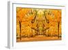 Central Park Autumn in Midtown Manhattan New York City-Songquan Deng-Framed Photographic Print