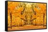 Central Park Autumn in Midtown Manhattan New York City-Songquan Deng-Framed Stretched Canvas