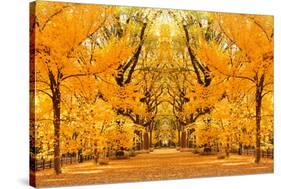 Central Park Autumn in Midtown Manhattan New York City-Songquan Deng-Stretched Canvas