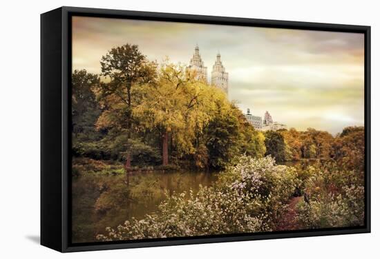 Central Park Autumn-Jessica Jenney-Framed Stretched Canvas