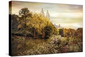 Central Park Autumn-Jessica Jenney-Stretched Canvas