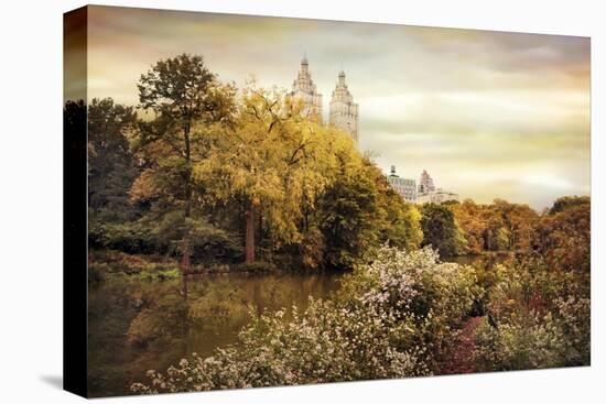 Central Park Autumn-Jessica Jenney-Stretched Canvas