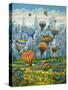 Central Park Balloons-Bill Bell-Stretched Canvas