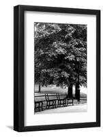 Central Park Benches-Jeff Pica-Framed Photographic Print