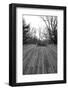 Central Park Bridge 4-Jeff Pica-Framed Photographic Print