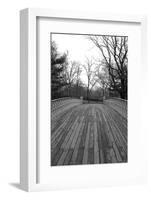 Central Park Bridge 4-Jeff Pica-Framed Photographic Print