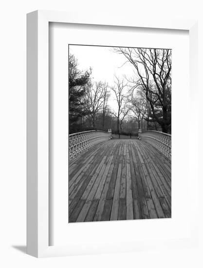 Central Park Bridge 4-Jeff Pica-Framed Photographic Print