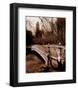 Central Park Bridge II-Christopher Bliss-Framed Art Print