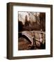 Central Park Bridge II-Christopher Bliss-Framed Art Print