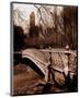Central Park Bridge II-Christopher Bliss-Mounted Art Print