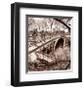 Central Park Bridge III-Christopher Bliss-Framed Art Print