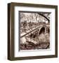 Central Park Bridge III-Christopher Bliss-Framed Art Print