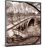 Central Park Bridge III-Christopher Bliss-Mounted Art Print