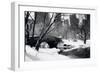 Central Park Bridge-Igor Maloratsky-Framed Art Print