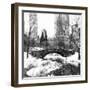 Central Park Bridge-Philippe Hugonnard-Framed Giclee Print