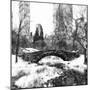 Central Park Bridge-Philippe Hugonnard-Mounted Giclee Print