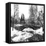 Central Park Bridge-Philippe Hugonnard-Framed Stretched Canvas