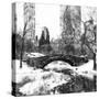 Central Park Bridge-Philippe Hugonnard-Stretched Canvas