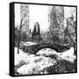 Central Park Bridge-Philippe Hugonnard-Framed Stretched Canvas