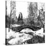 Central Park Bridge-Philippe Hugonnard-Stretched Canvas